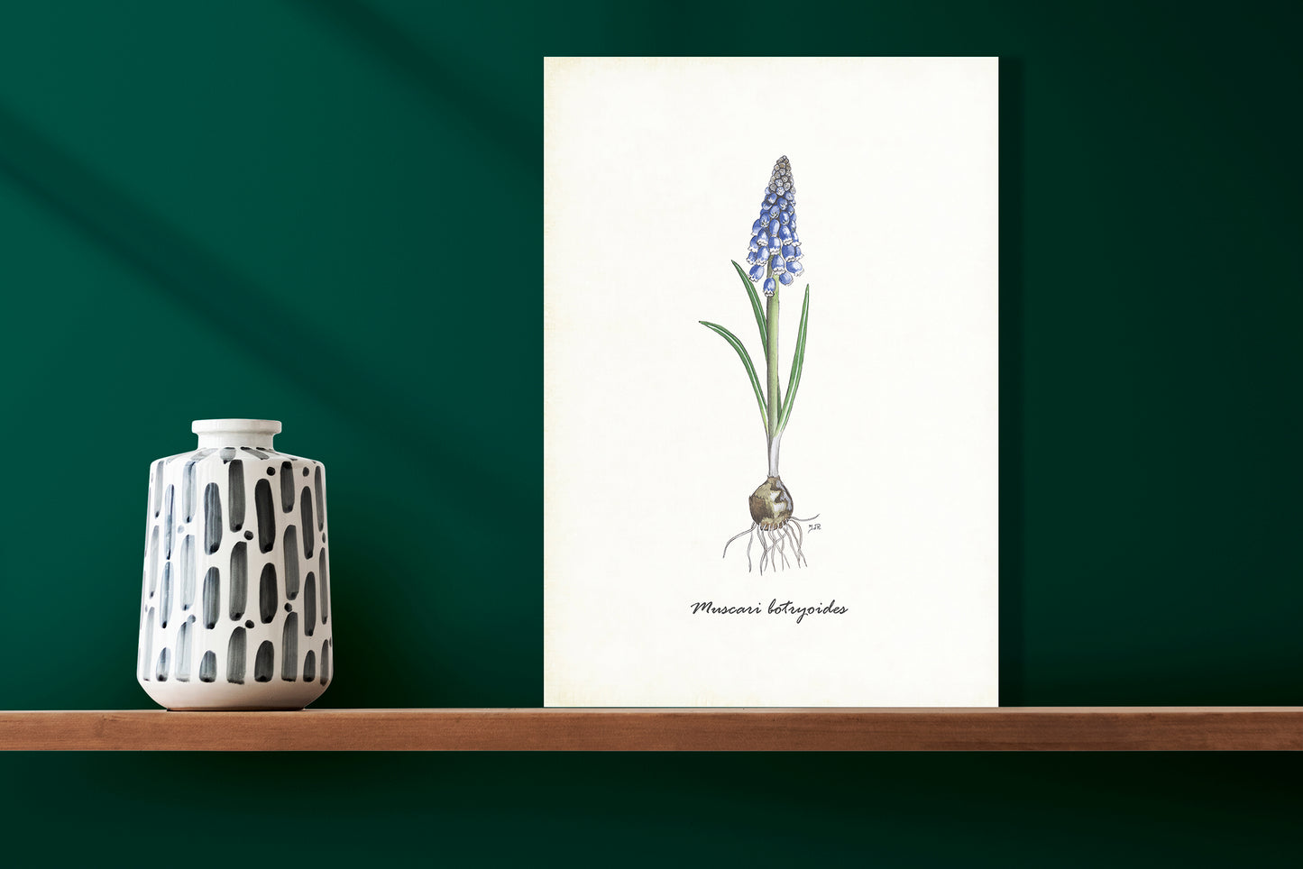 Wanddecoratie "Blauwe druif"