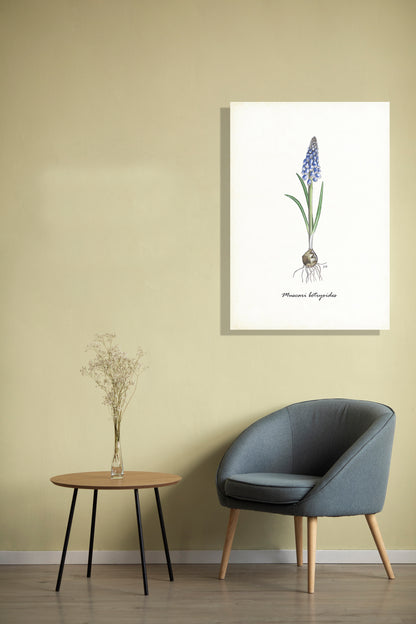 Wanddecoratie "Blauwe druif"
