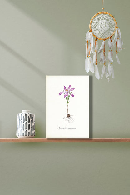 Wanddecoratie "Boerenkrokus"