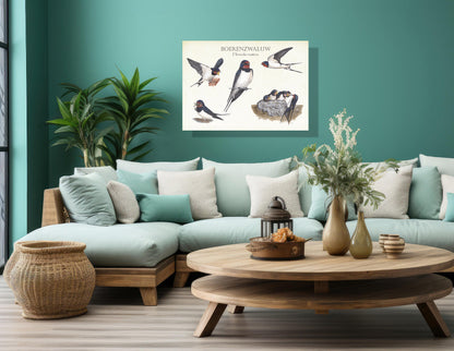Wanddecoratie "Boerenzwaluw, het leven van"