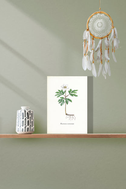 Wanddecoratie "Bosanemoon"