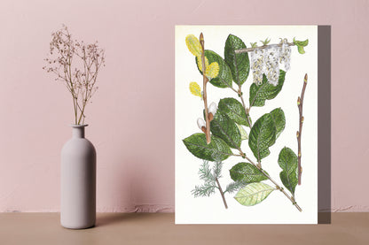 Wanddecoratie "Boswilg, het leven van"