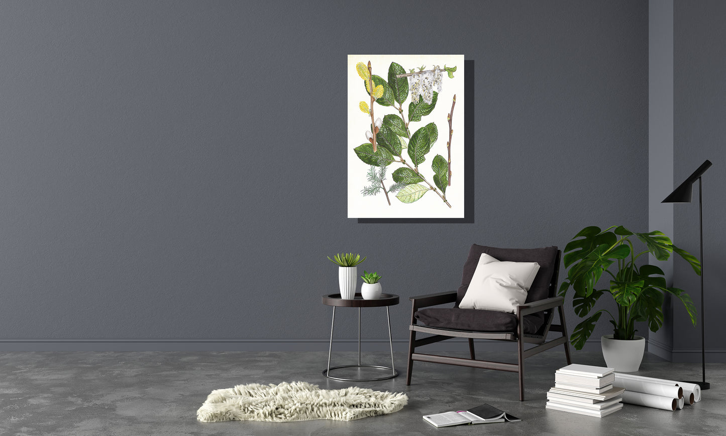 Wanddecoratie "Boswilg, het leven van"