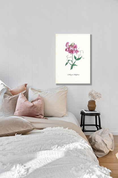 Wanddecoratie "Brede lathyrus"