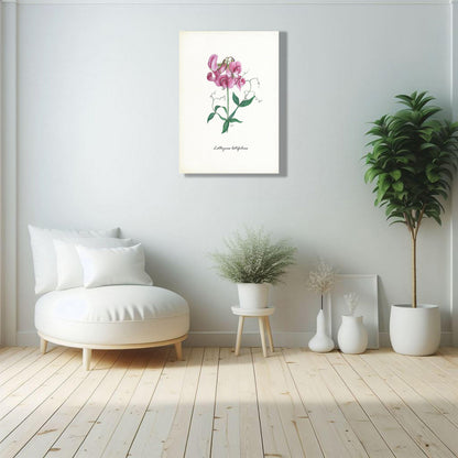 Wanddecoratie "Brede lathyrus"
