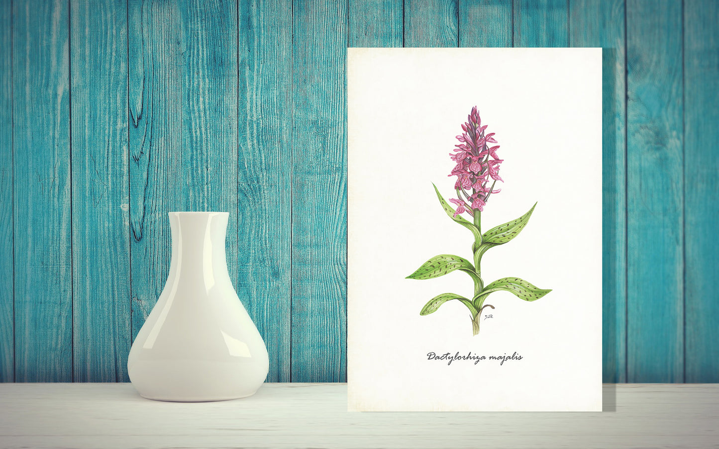 Wanddecoratie "Brede orchis"