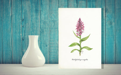 Wanddecoratie "Brede orchis"