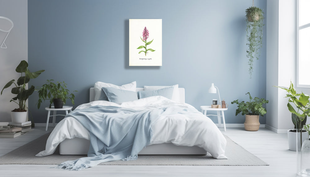 Wanddecoratie "Brede orchis"
