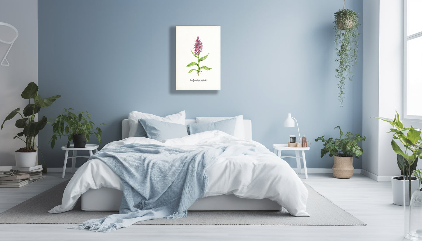 Wanddecoratie "Brede orchis"