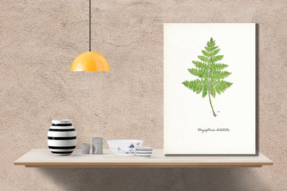 Wanddecoratie "Brede stekelvaren"