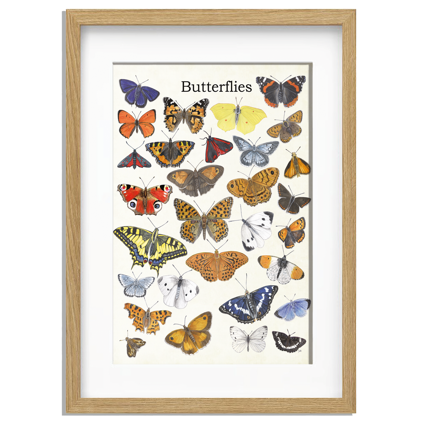 Ingelijst "Butterflies"