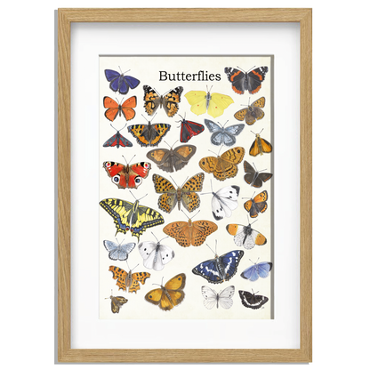 Ingelijst "Butterflies"