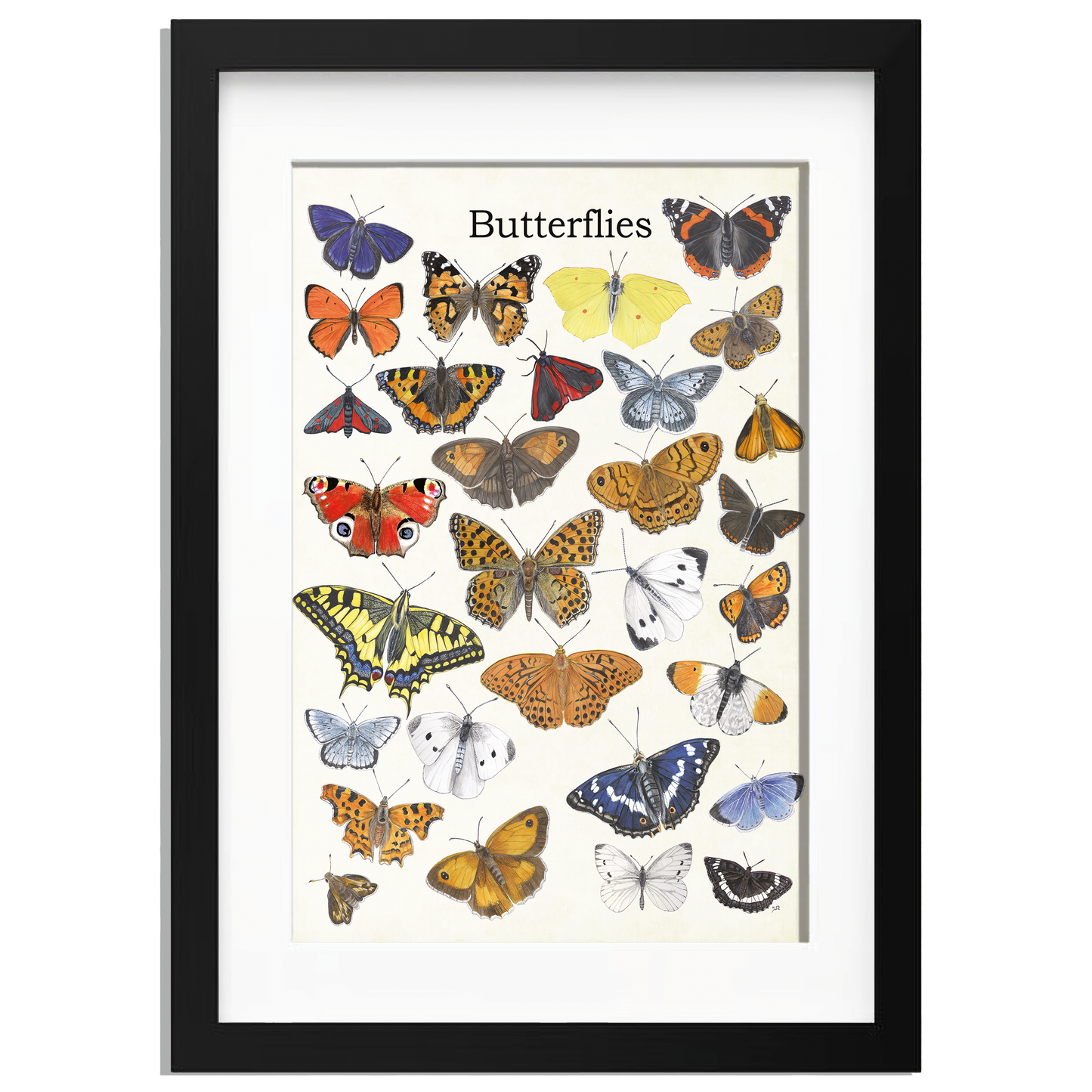 Ingelijst "Butterflies"