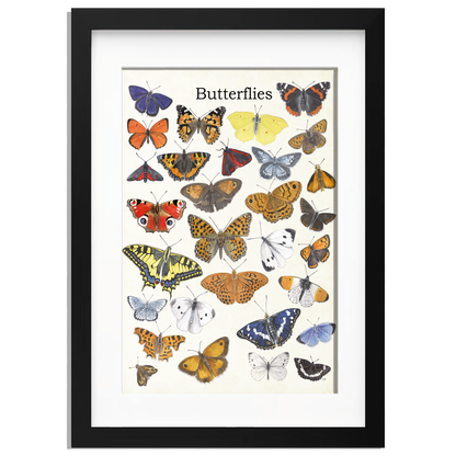 Ingelijst "Butterflies"