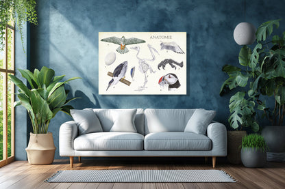 Wanddecoratie "Anatomie Birds"