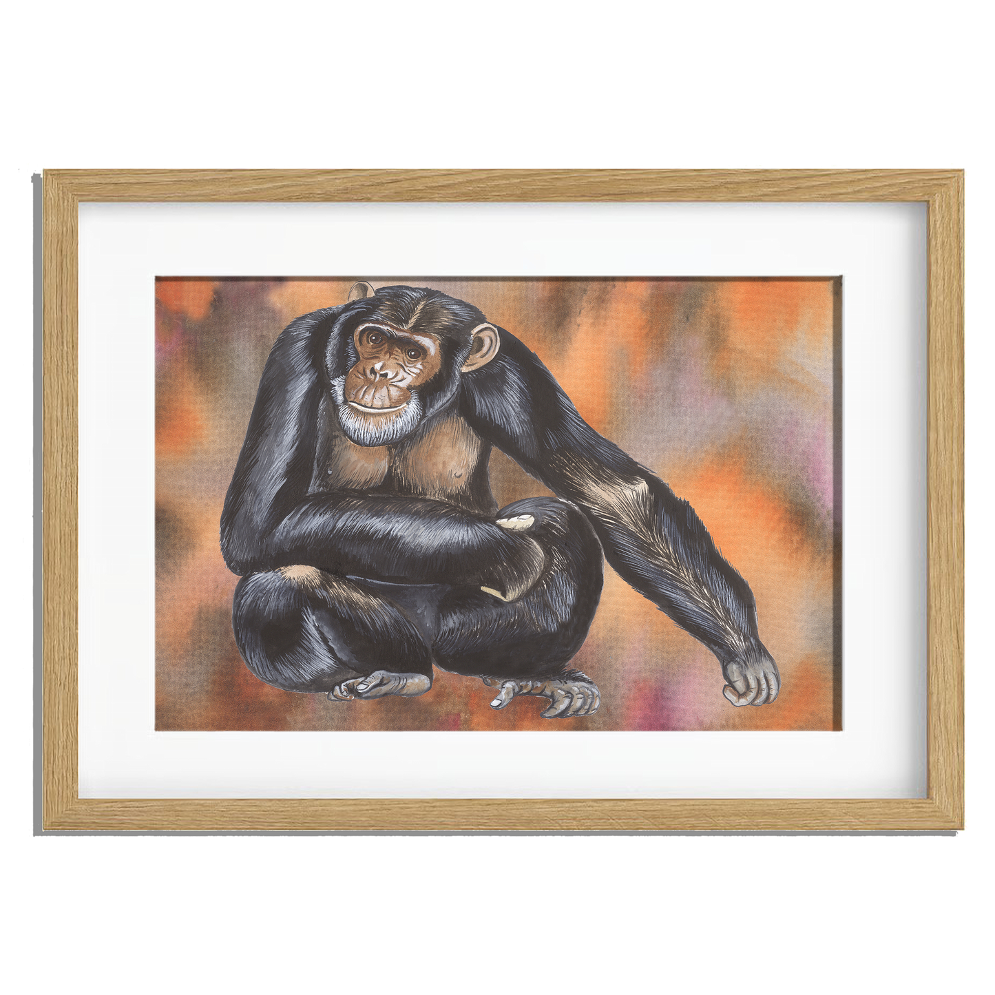 Ingelijst "Chimpansee"