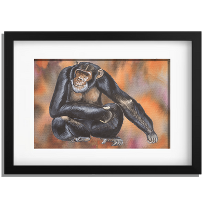 Ingelijst "Chimpansee"