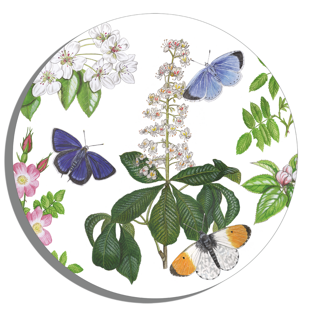 Muurcirkel "Bloesems en vlinders"