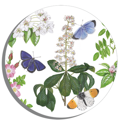 Muurcirkel "Bloesems en vlinders"