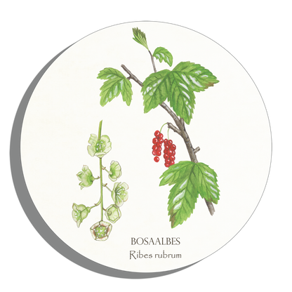 Tuinposter Cirkel "Bosaalbes"