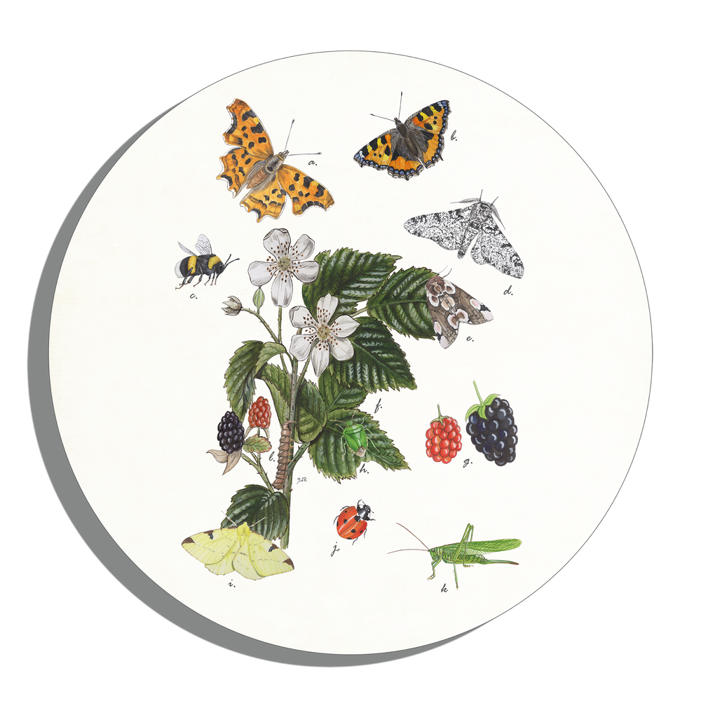 Muurcirkel "Braam met haar insecten"
