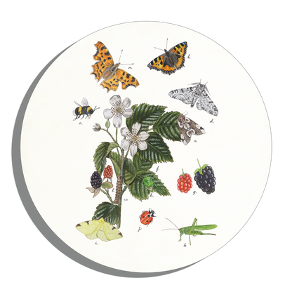 Muurcirkel "Braam met haar insecten"