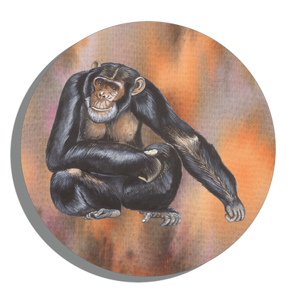 Tuinposter Cirkel "Chimpansee"