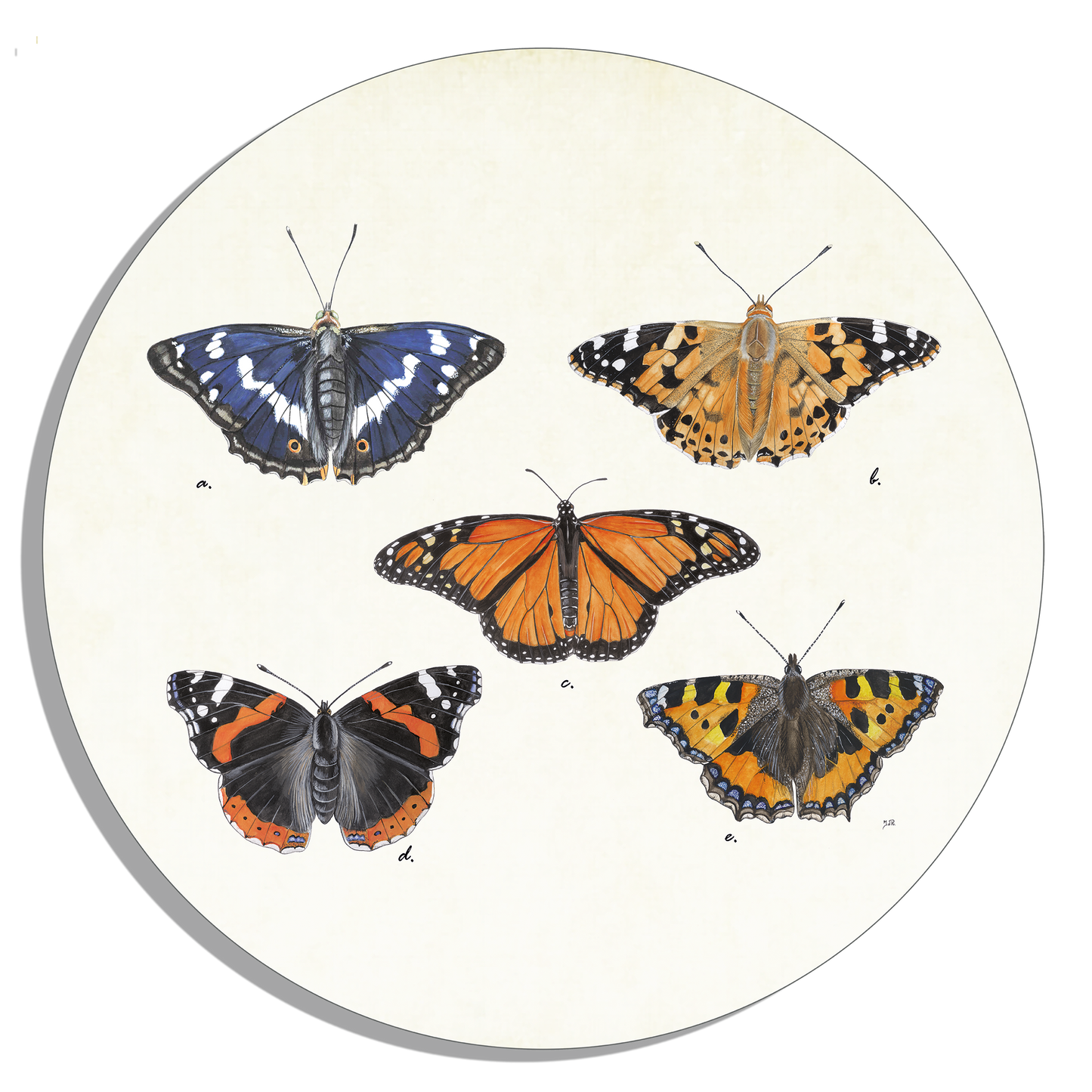 Tuinposter Cirkel "Dagvlinders op oude plaat"