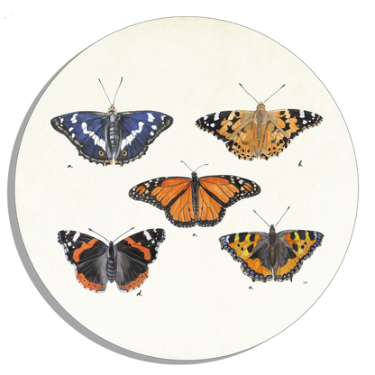 Tuinposter Cirkel "Dagvlinders op oude plaat"