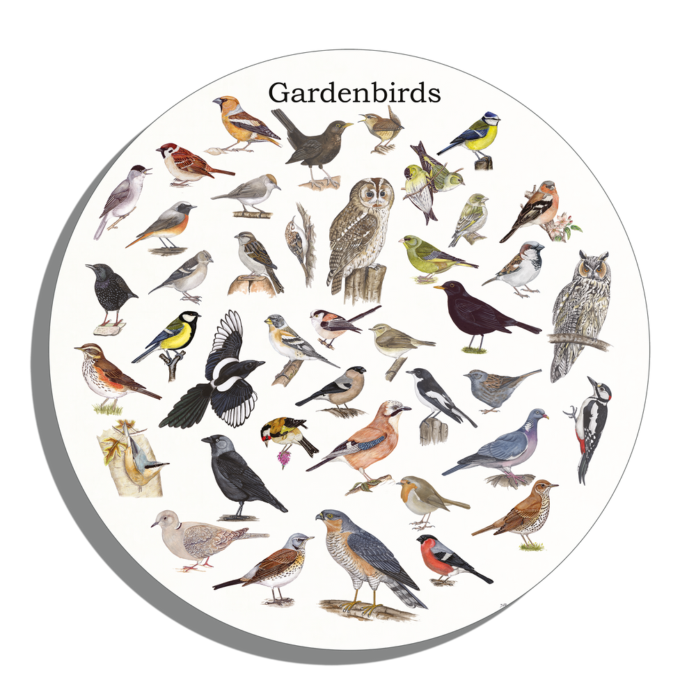 Muurcirkel "Gardenbirds"