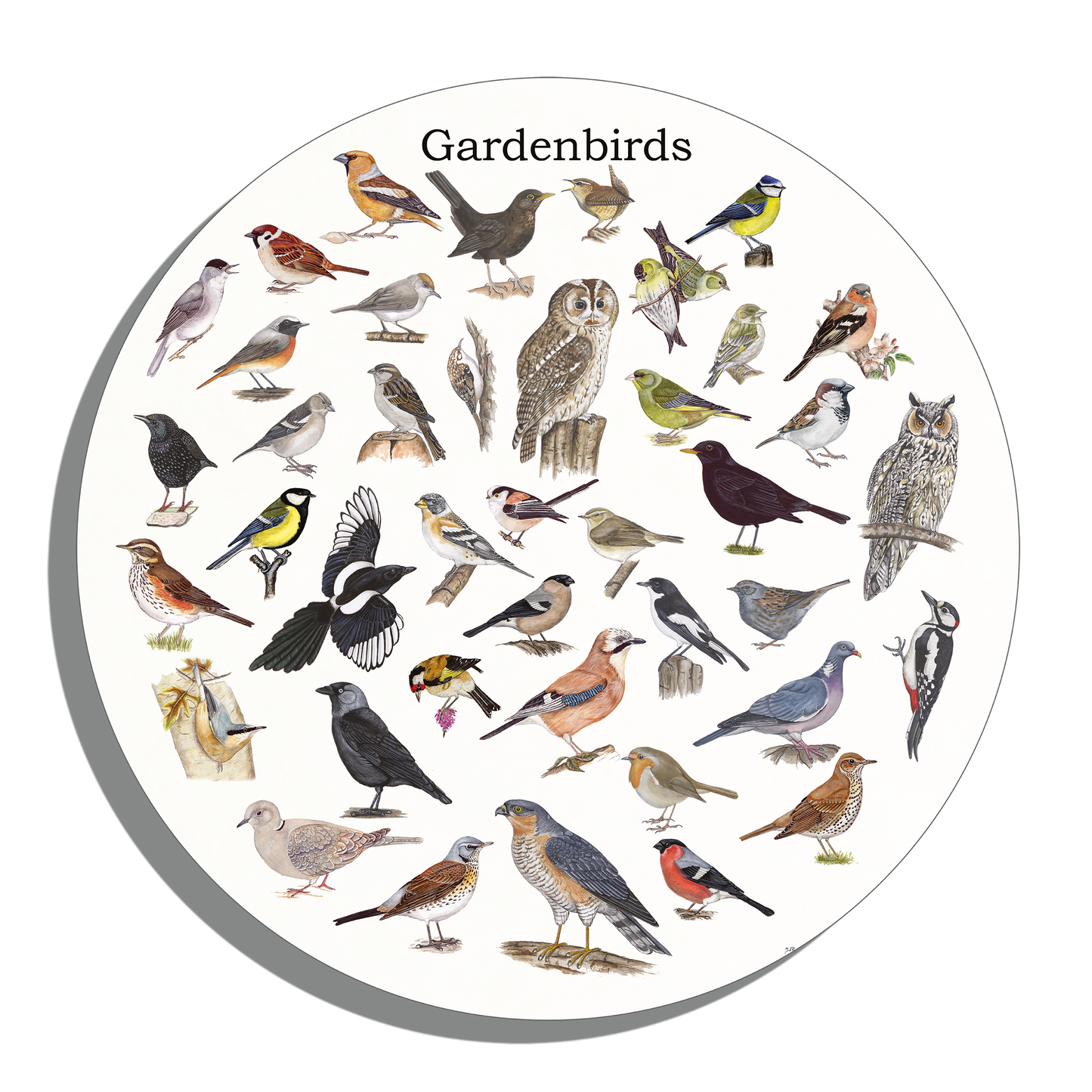 Muurcirkel "Gardenbirds"