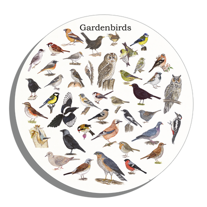 Muurcirkel "Gardenbirds"