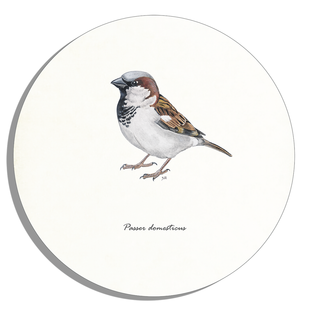 Tuinposter Cirkel "Huismus"