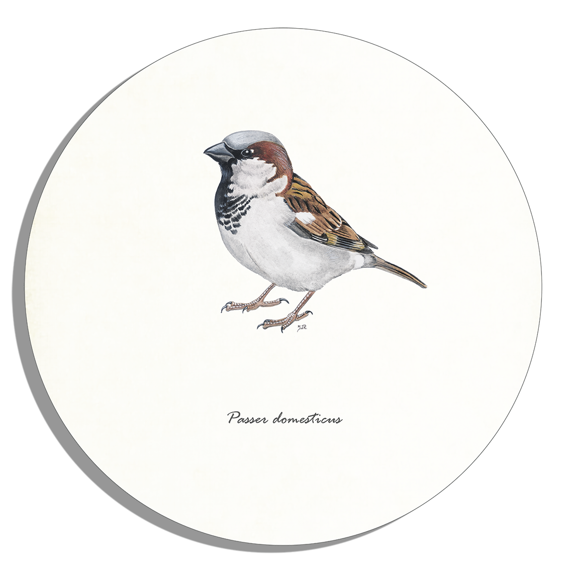 Tuinposter Cirkel "Huismus"