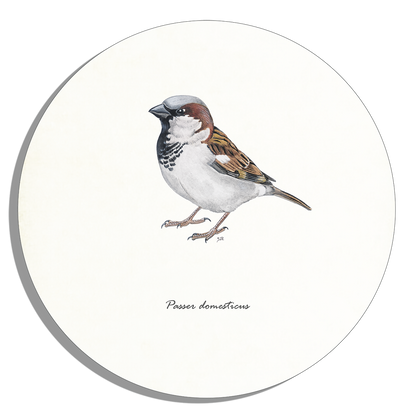 Tuinposter Cirkel "Huismus"