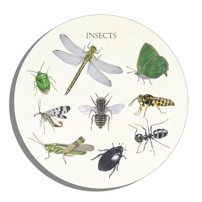 Muurcirkel "Insects"