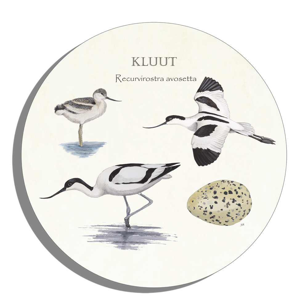 Muurcirkel "Kluut, het leven van"