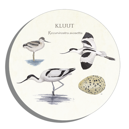 Muurcirkel "Kluut, het leven van"