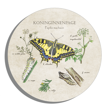 Muurcirkel "Koninginnenpage, het leven van"