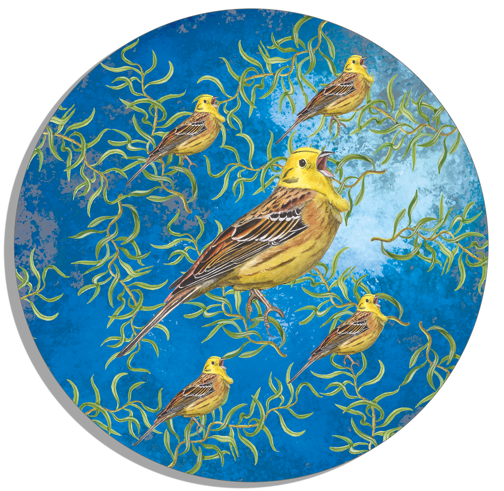 Tuinposter Cirkel "Kronkelwilg met geelgorzen in avondschemering"