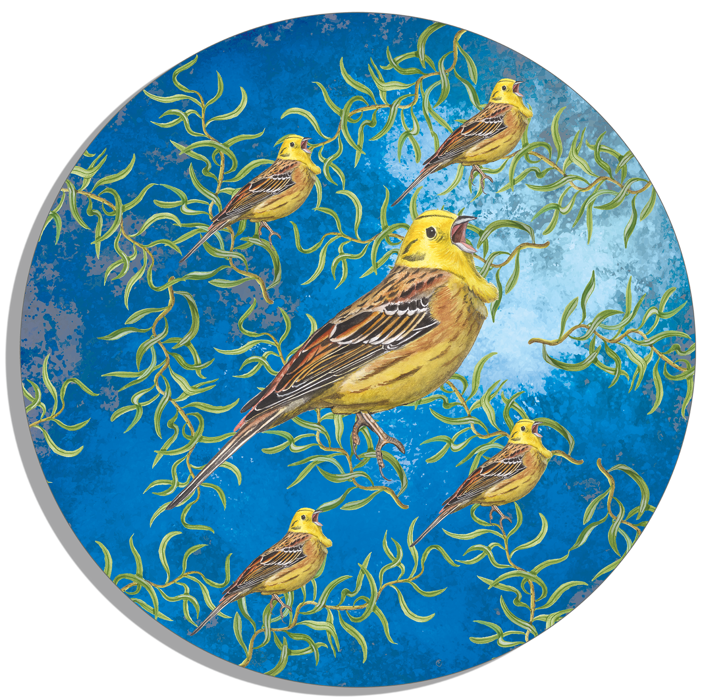 Tuinposter Cirkel "Kronkelwilg met geelgorzen in avondschemering"