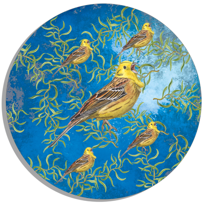Tuinposter Cirkel "Kronkelwilg met geelgorzen in avondschemering"