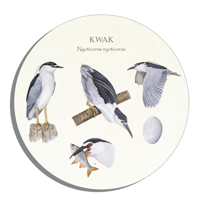 Muurcirkel "Kwak, het leven van"