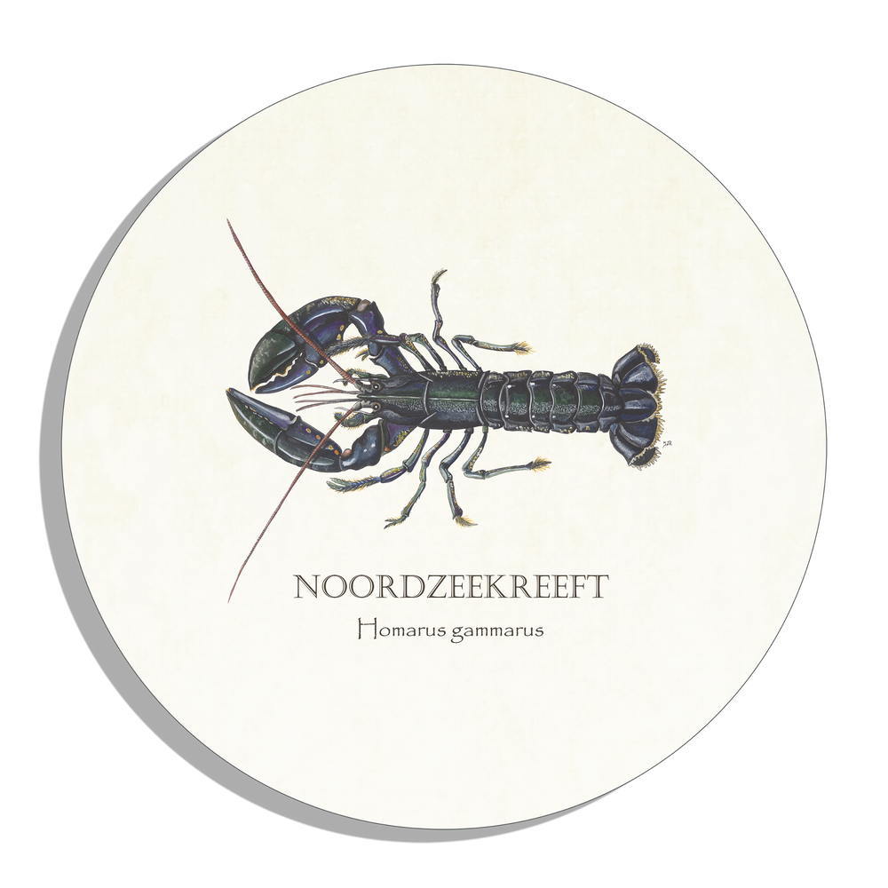 Tuinposter Cirkel "Noordzeekreeft"