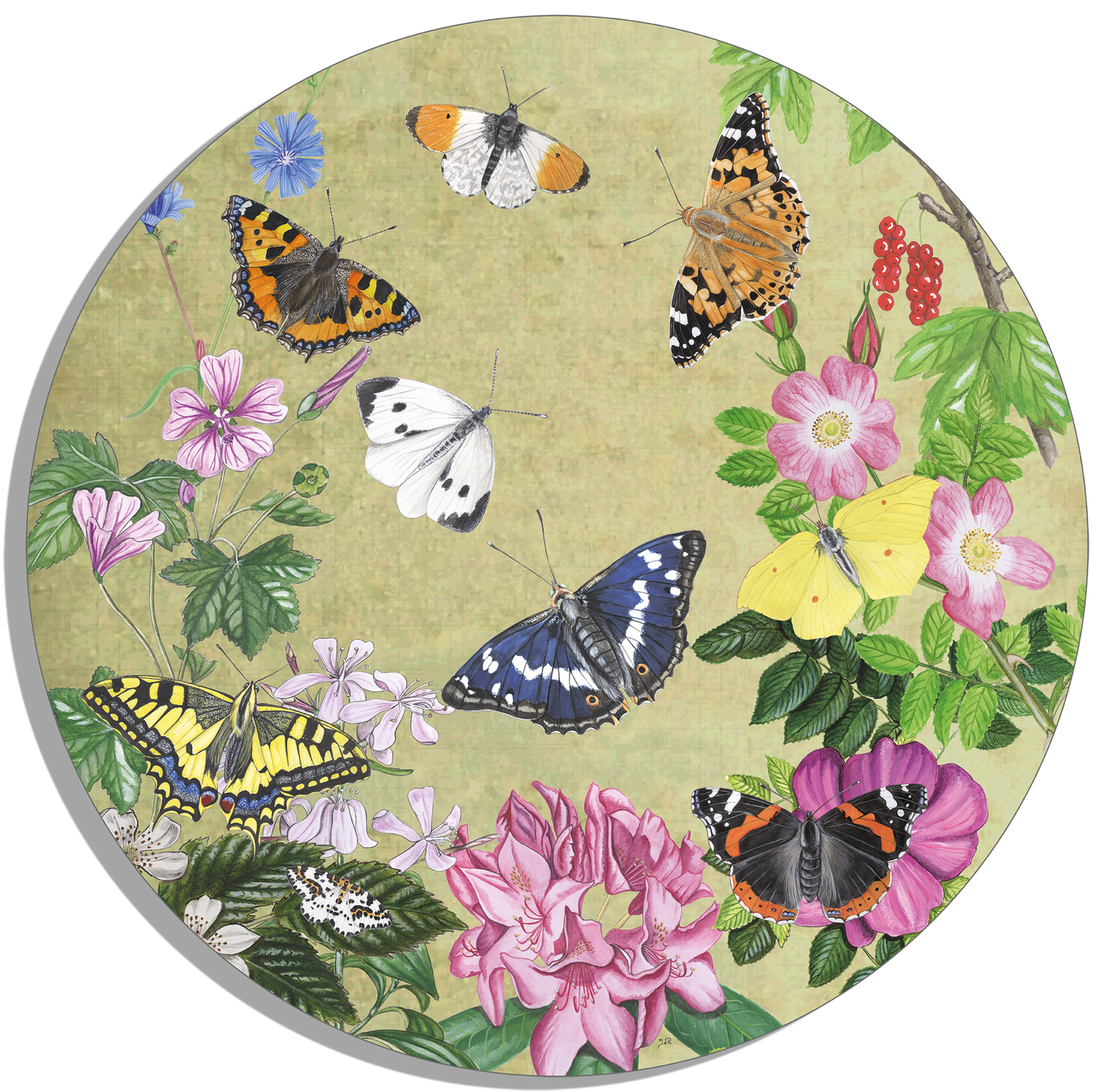 Muurcirkel "Planten en vlinders, vintage"