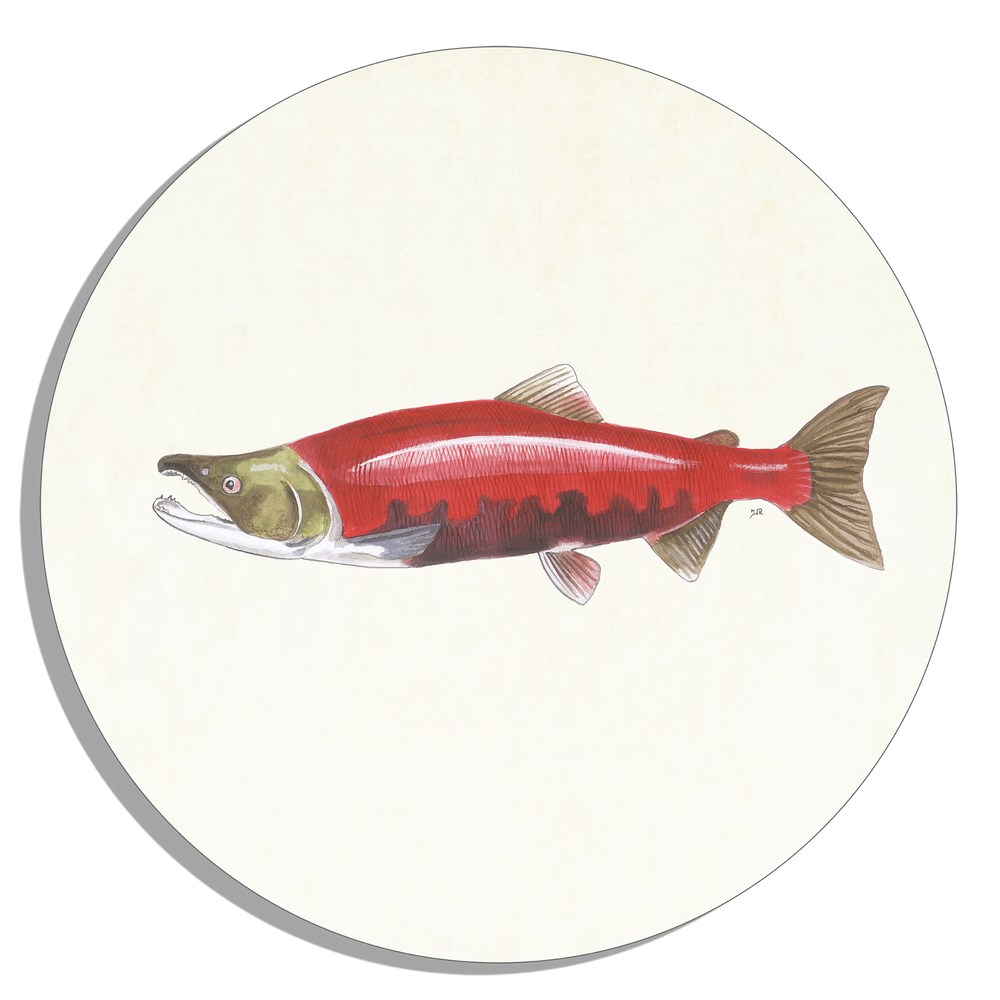 Tuinposter Cirkel "Rode zalm"
