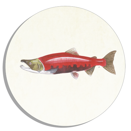Muurcirkel "Rode zalm"
