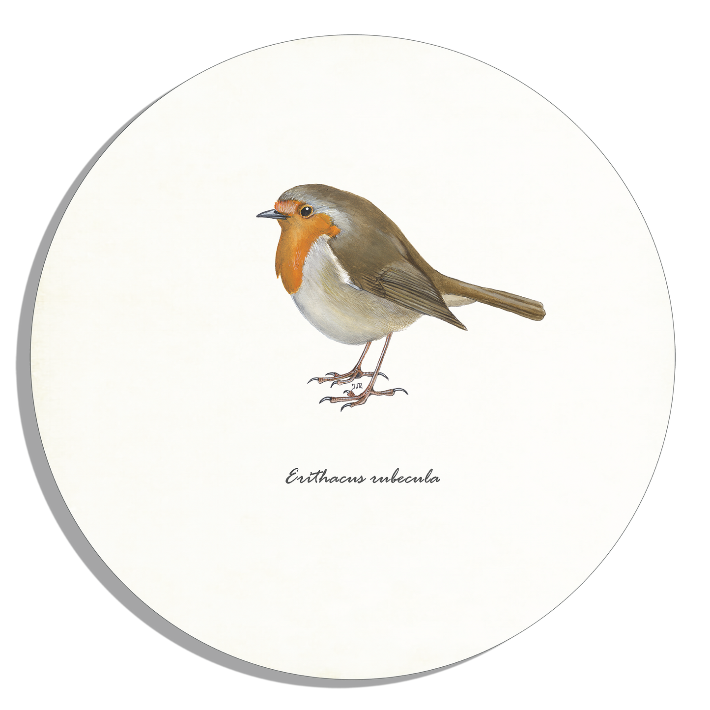Tuinposter "Roodborst"