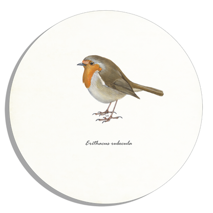 Tuinposter Cirkel "Roodborst"
