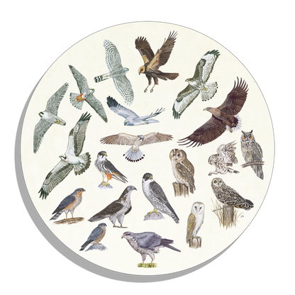 Muurcirkel "Roofvogels en uilen"